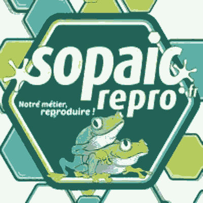 Sopaic